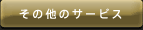 ̑̃T[rX