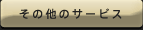 ̑̃T[rX